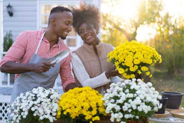 10 dicas para um fabuloso jardim de flores de outono