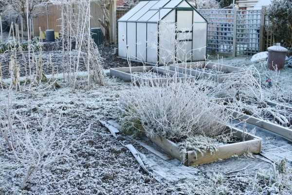 12 Gartenaufgaben für die Nebensaison