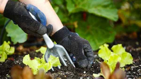 5 Tipps zur Wartung von Haushaltswartung für den Frühling