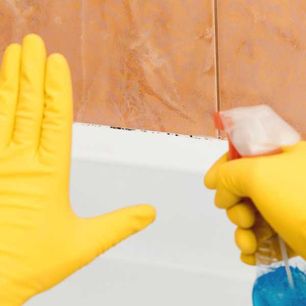6 points chauds du moule du ménage et comment les nettoyer