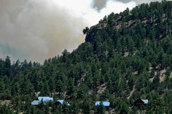 7 choses à faire dans votre cabine pour empêcher les incendies de forêt