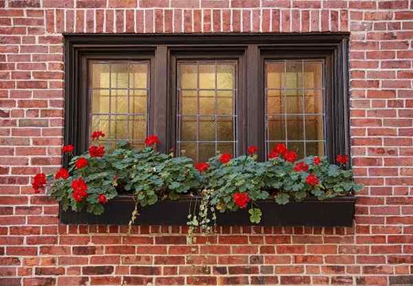 7 cosas que debe saber antes de teñir las ventanas del hogar