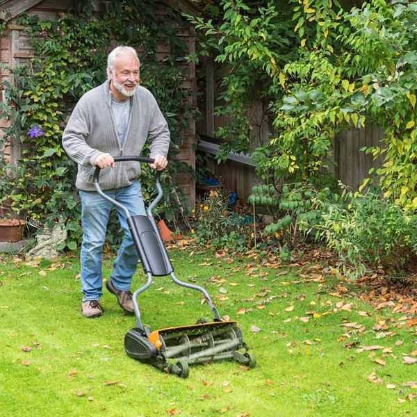 7 maneiras de preparar seu gramado para o outono