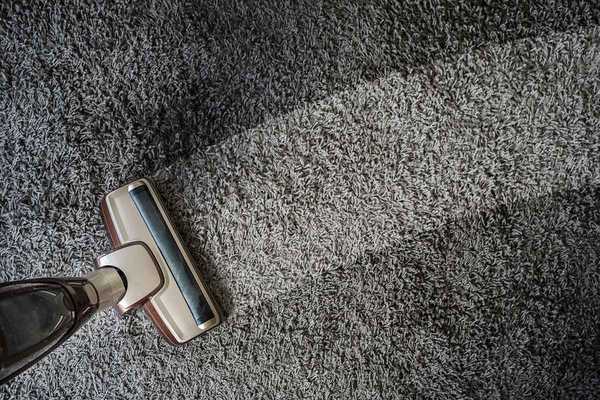 8 letreros que necesita limpieza de alfombras profesionales