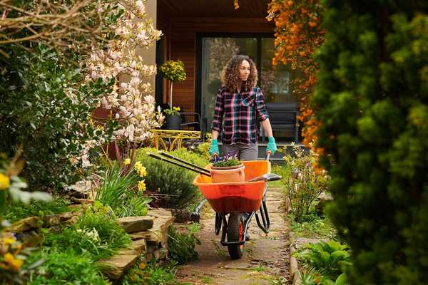 9 coisas que mestres jardineiros não fariam em seus jardins