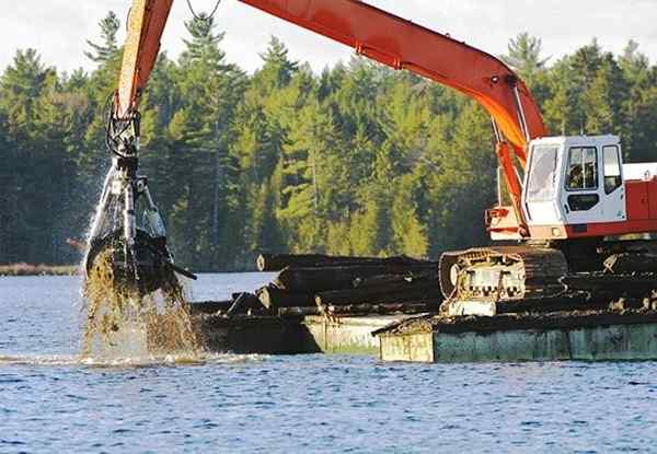 Une forêt oubliée se trouve au fond d'un lac dans le Maine