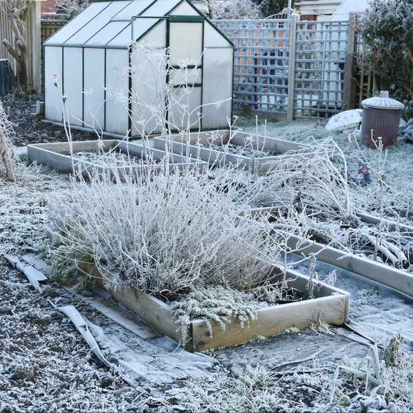 Un guide du traitement du sol du jardin pour l'hiver