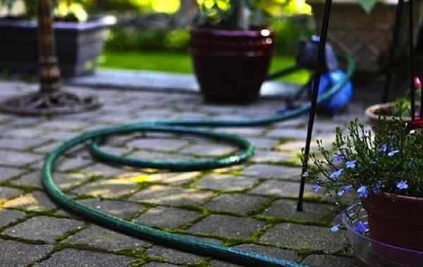 Tous les tuyaux de jardin ne sont pas créés égaux