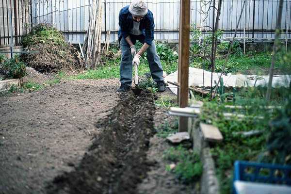 Alles was Sie über Garten Tilling wissen müssen