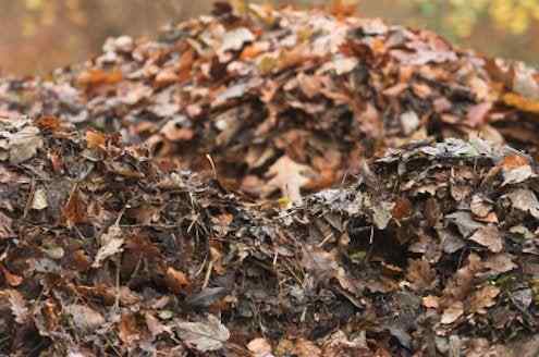 Compostante de otoño de Bob Vila Radio