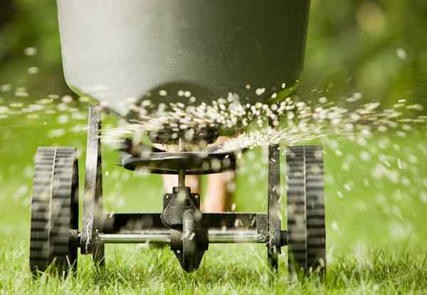 Radio Bob Vila détermine quand fertiliser