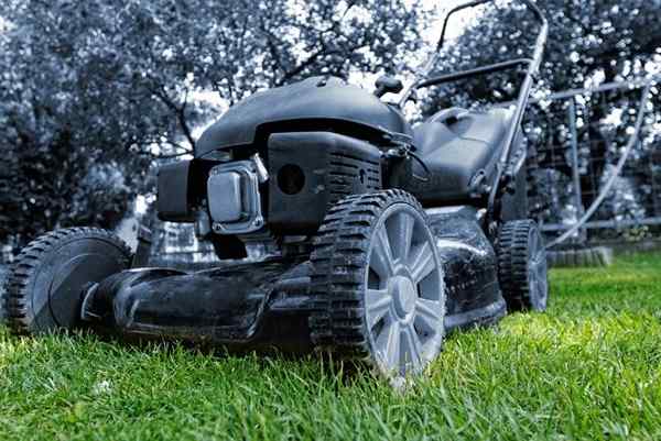 Bob Vila Radio Mower Filtry