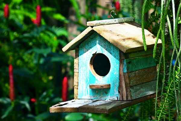 Bob Vila Radio Planning Birdhouses