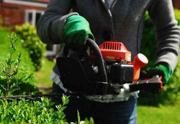 Bob Vila Radio afiando seu aparador de hedge