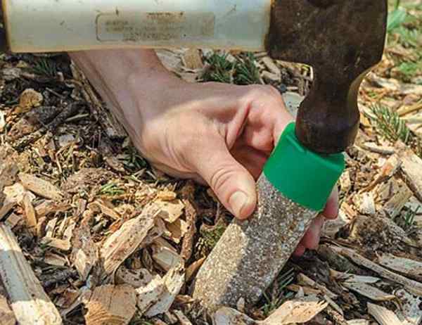 Radio Bob Vila Le moyen le plus simple de fertiliser les arbres et les arbustes