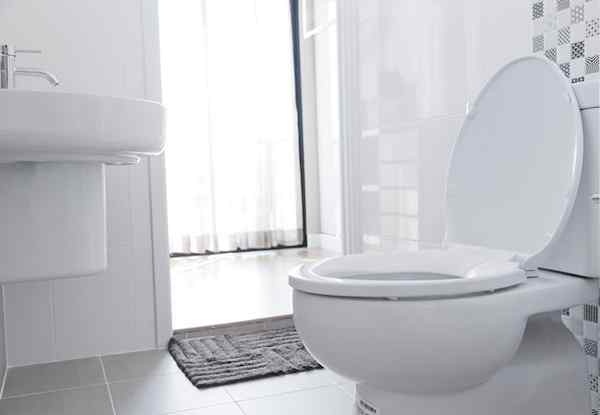 Tips Teratas Radio Bob Vila untuk toilet bocor