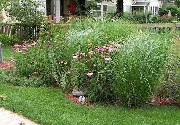 Bob Vila Radio ¿Qué es un jardín de lluvia??