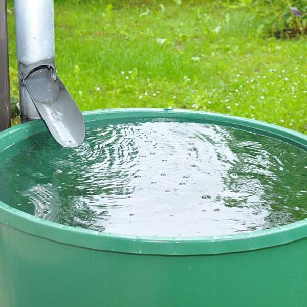 Você pode ir para a cadeia por coletar água da chuva?