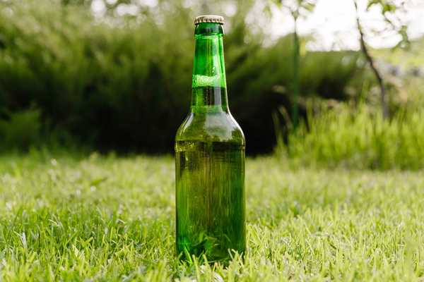 ¿Realmente puedes fertilizar tu césped con cerveza??