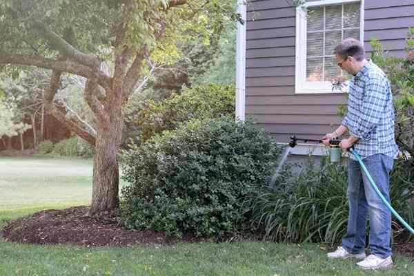 Ferramentas legais uma ameaça tripla para ajudar seu jardim a prosperar