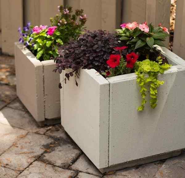 Pekebun beton DIY