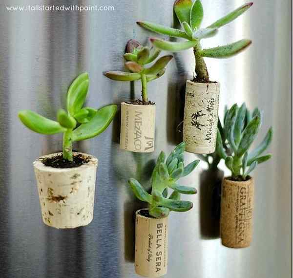 DIY Wine Cork Pflanzer