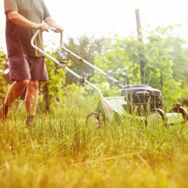 Müssen Sie Ihren Rasenmäher wirklich winterfürchen??