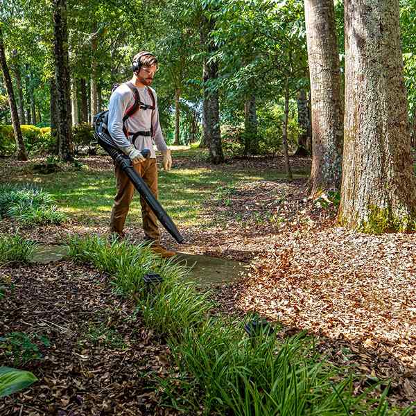 Entrez le cadeau «Take Back Your Your Your Your Your Your Your Your Yard's Bob Vila avec Lawnmaster aujourd'hui!