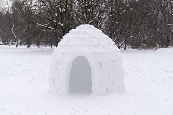 Alles, was Sie brauchen, um ein Iglu zu bauen