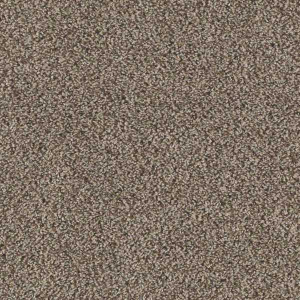 Todo lo que necesitas saber sobre la alfombra de Triexta