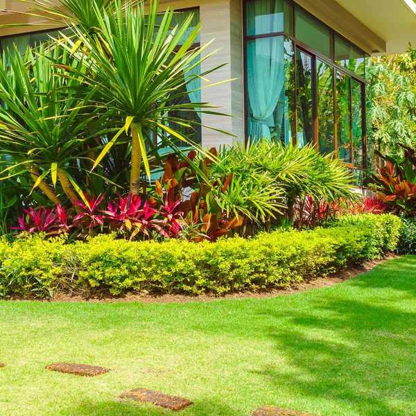 Fall Lawn Care menjaga halaman yang sehat selama musim dingin