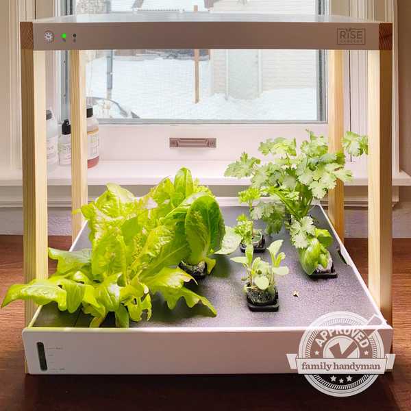 Handyman familiar Aprobado Rise Rise Personal Indoor Garden