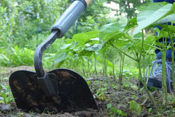 Guía de compra de Hoe de jardín