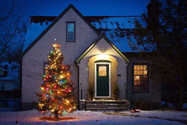 Guia para árvores de Natal ao ar livre