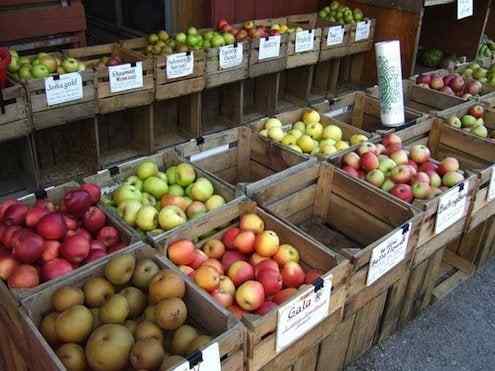 Pommes héritières cultivant une tranche d'histoire