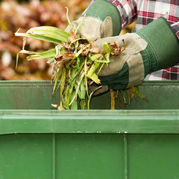 Hier ist, was Sie mit Gartenabfällen tun sollen