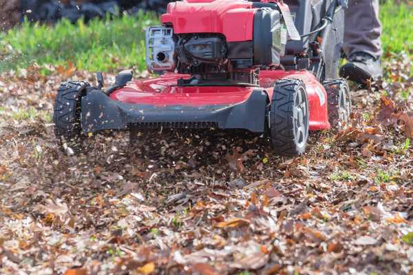 Voici pourquoi tondre les feuilles est mieux que de les ratir