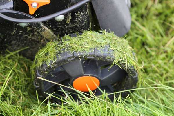 Voici pourquoi tu ne devrais pas tondre l'herbe quand elle est mouillée