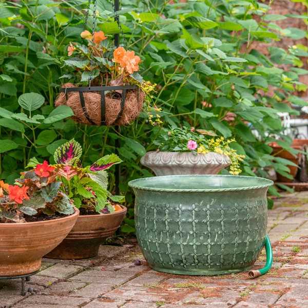 Ehren Sie Ihre umweltfreundlichen Vorsätze (und Ihre Brieftasche) mit diesen Gartenverkäufen