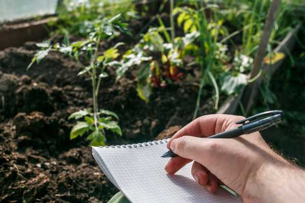 Wie und warum, um ein Gartenjournal zu behalten