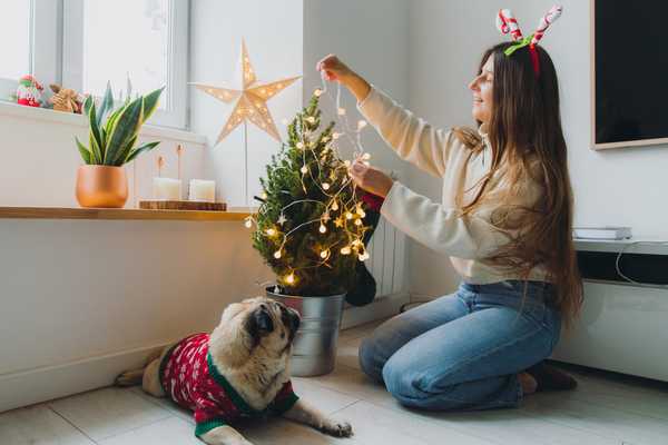 Wie früh ist es zu früh, um Weihnachtsdekorationen aufzubauen?