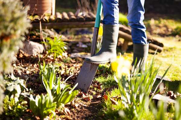 Combien de nettoyage du jardin d'automne est vraiment nécessaire?