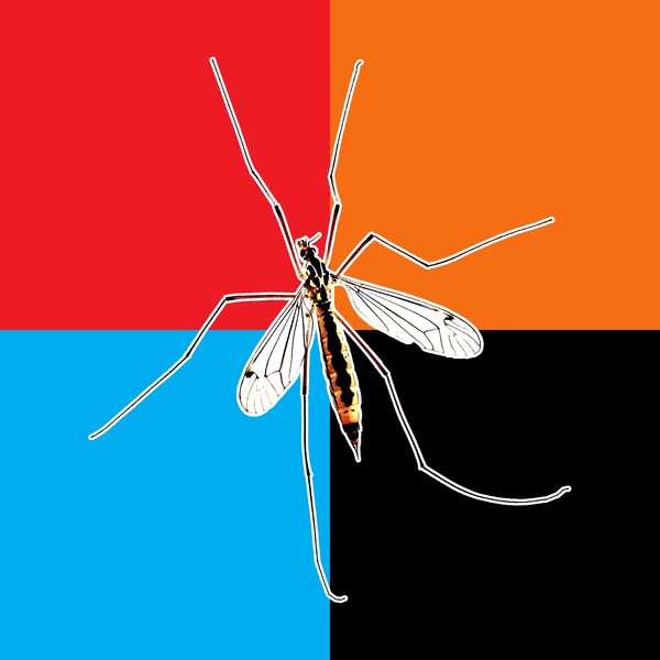 Wie diese vier Farben Ihnen helfen, Mückenstiche zu vermeiden