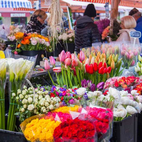 Como encontrar as melhores flores do mercado de agricultores para sua casa