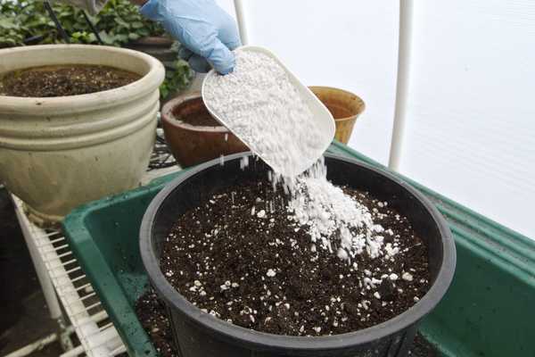 Cómo jardinería con tierra para macetas de perlita