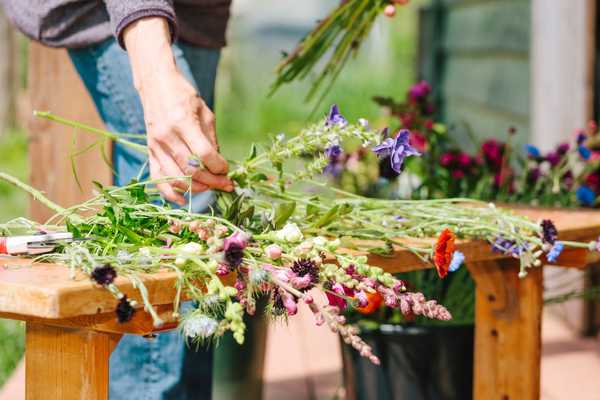 Como cultivar um jardim de flores cortadas