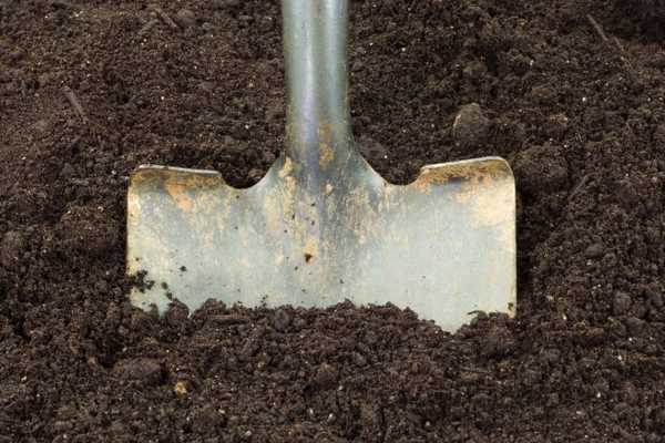 Comment améliorer le sol du jardin en hiver