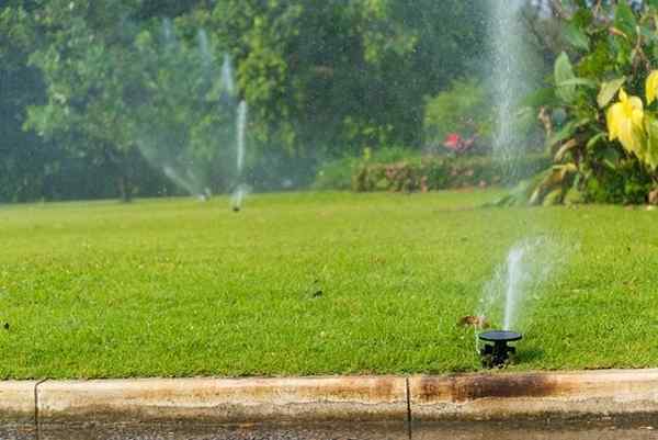 Cara memasang sistem sprinkler bawah tanah