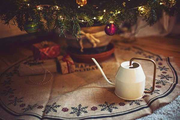 Comment garder un arbre de Noël en vie pour les vacances