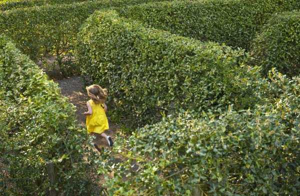 So machen Sie ein Hecklabyrinth in Ihrem Garten